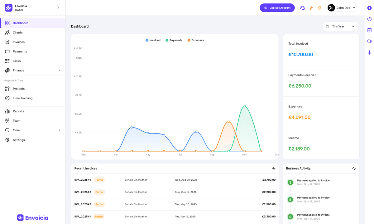 Envoicia Professional Invoice Example